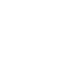 Beachfest